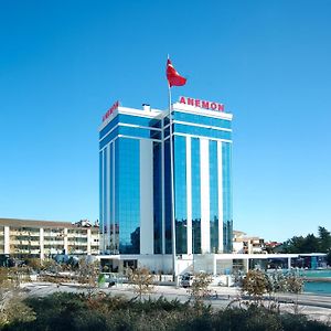 Anemon Konya